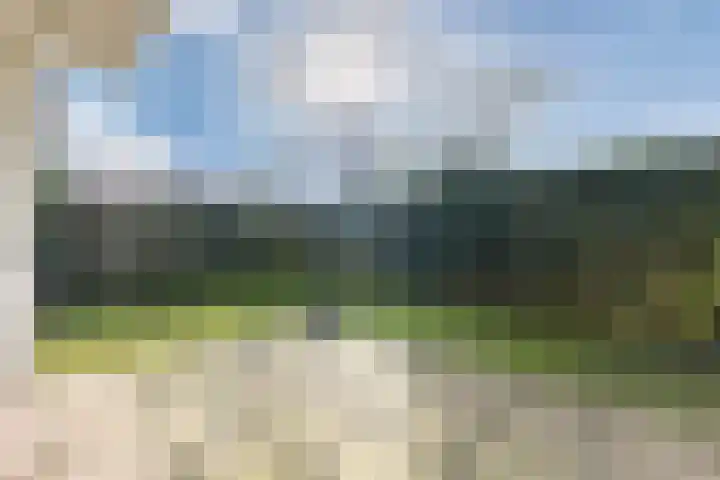 Loodskotterhof 18 Amsterdam thumbnail 37
