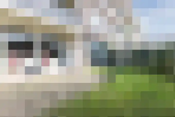 Loodskotterhof 18 Amsterdam thumbnail 39
