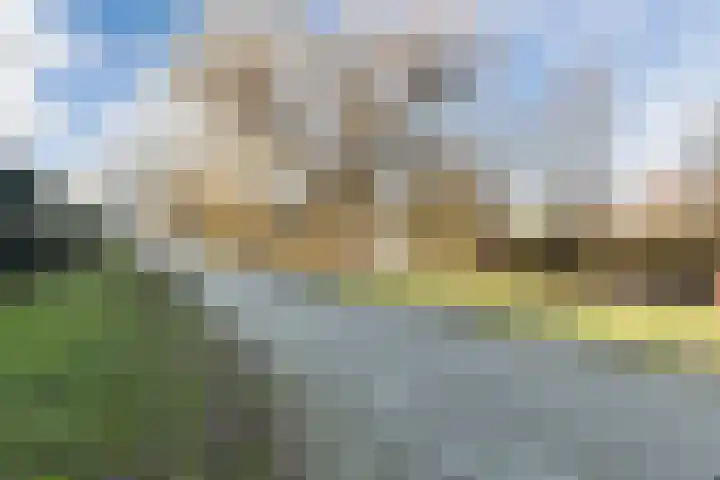 Loodskotterhof 18 Amsterdam thumbnail 42