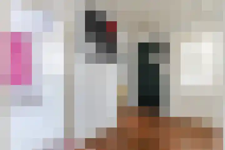 Loodskotterhof 18 Amsterdam thumbnail 8