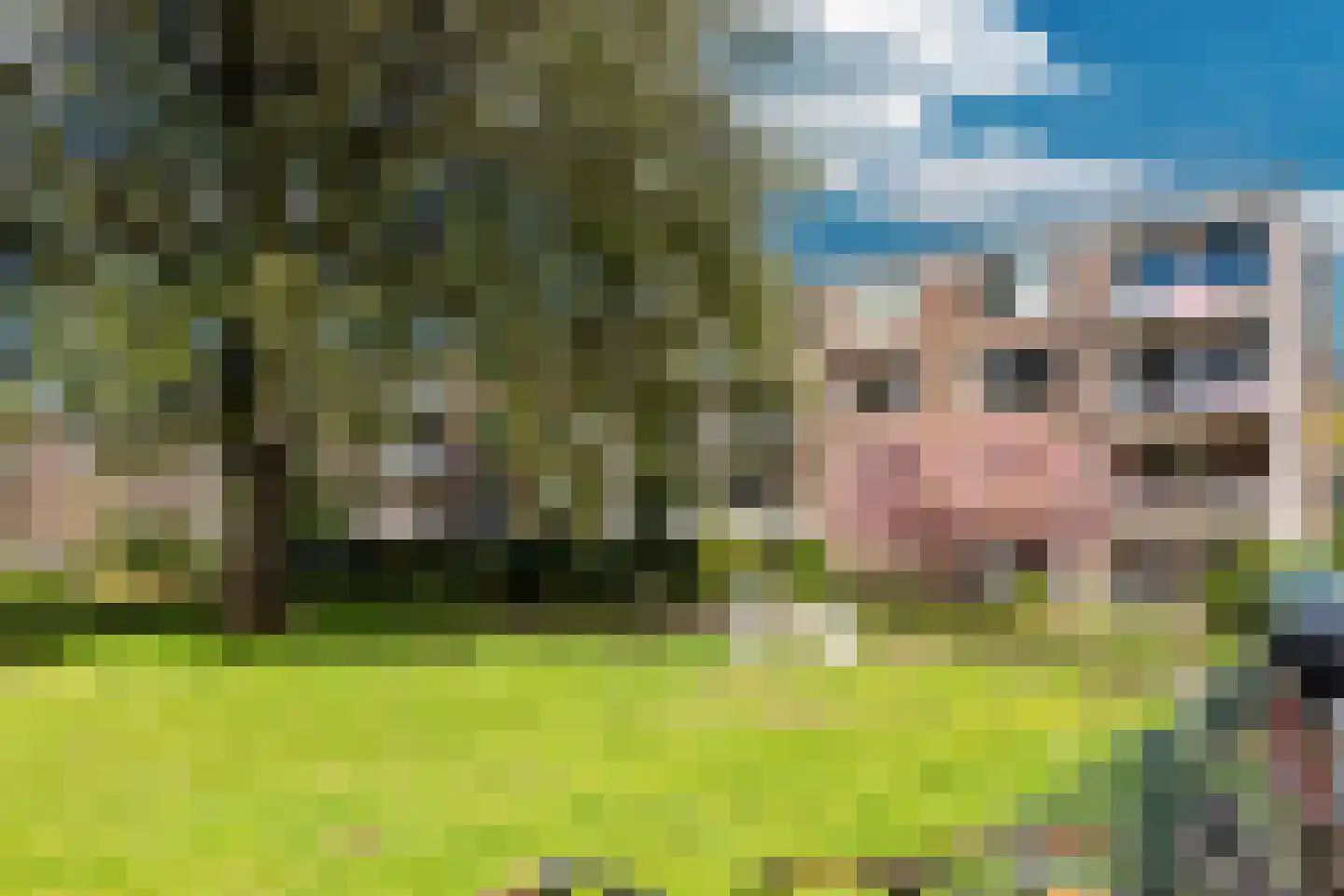 Loodskotterhof 20 Amsterdam thumbnail 21