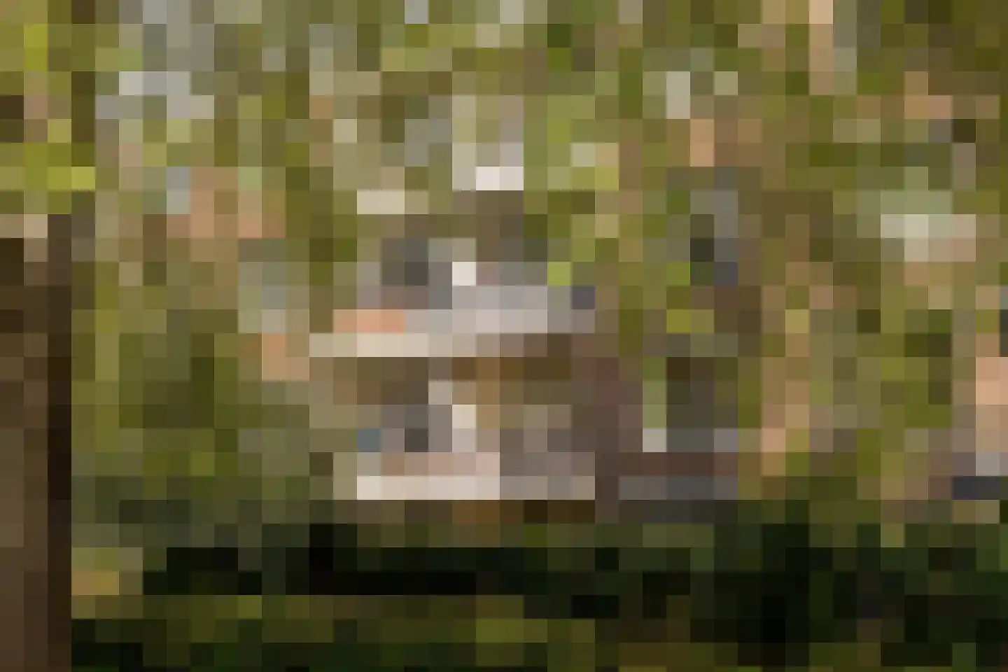 Loodskotterhof 20 Amsterdam thumbnail 23