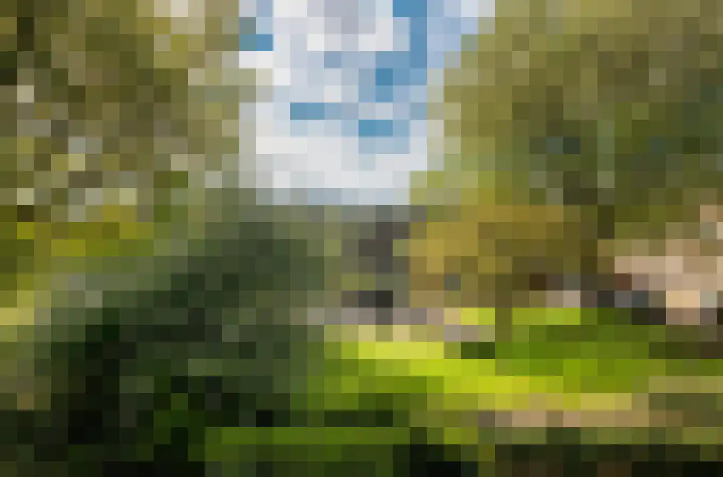 Loodskotterhof 20 Amsterdam thumbnail 25
