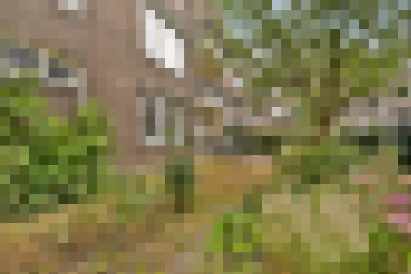 Loodskotterhof 42 Amsterdam thumbnail 11