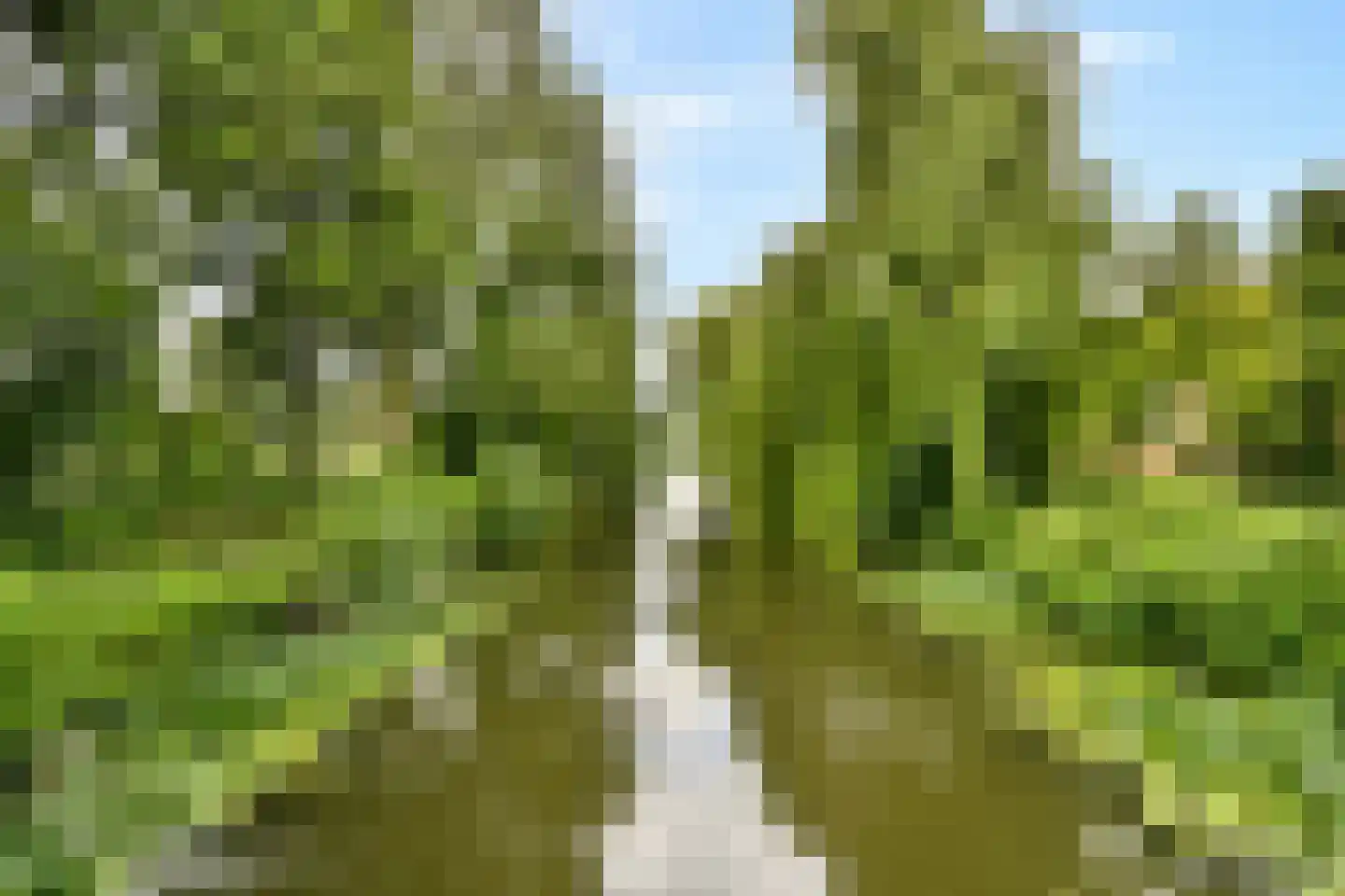 Loodskotterhof 42 Amsterdam thumbnail 18