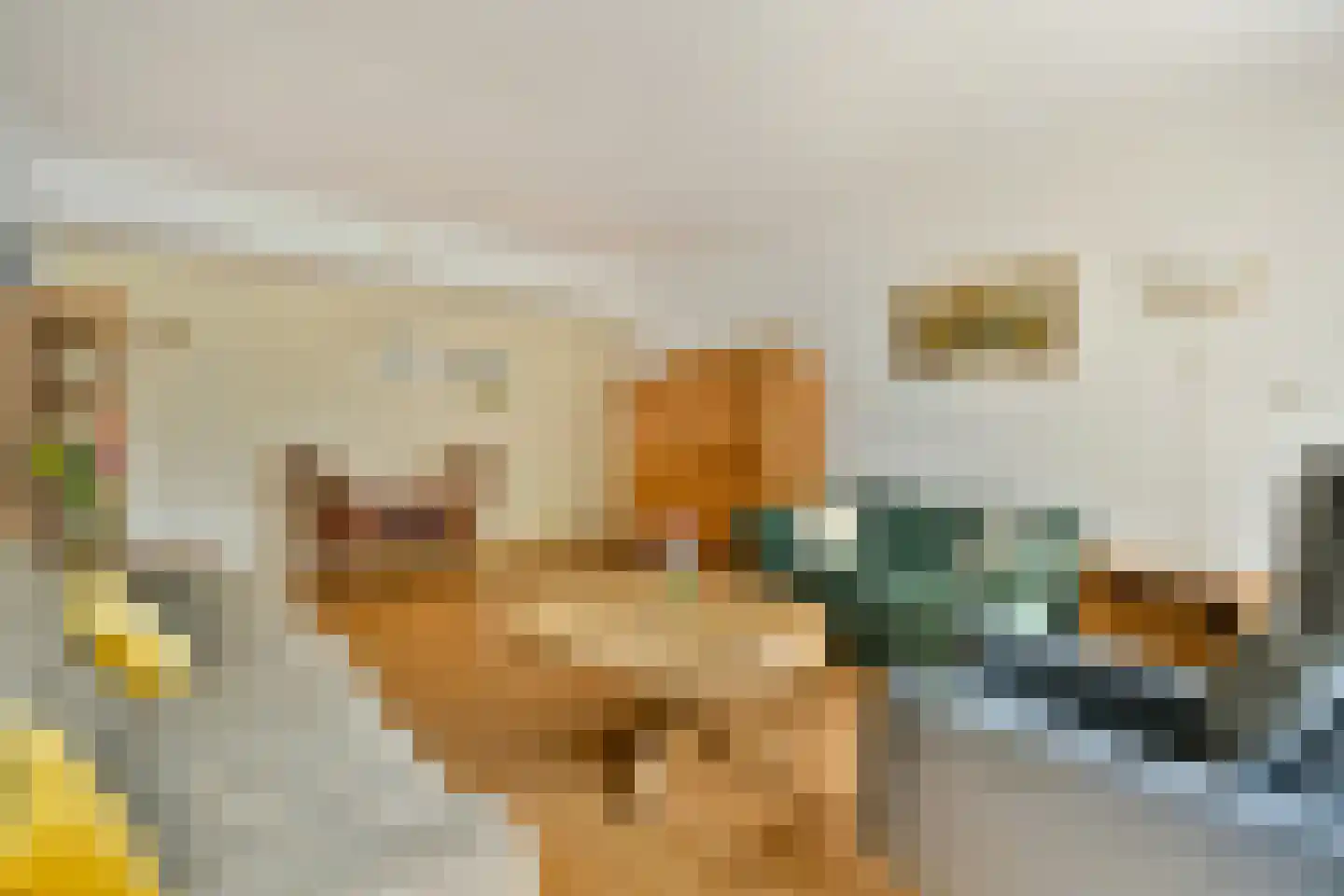 Loodskotterhof 42 Amsterdam thumbnail 4