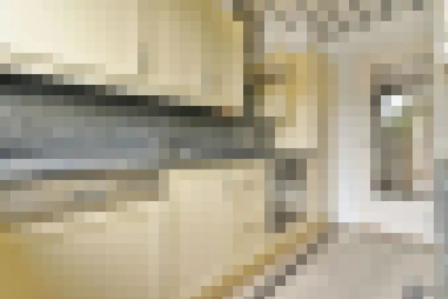 Loodskotterhof 42 Amsterdam thumbnail 7