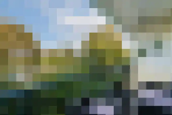 Loodskotterhof 65 Amsterdam thumbnail 10