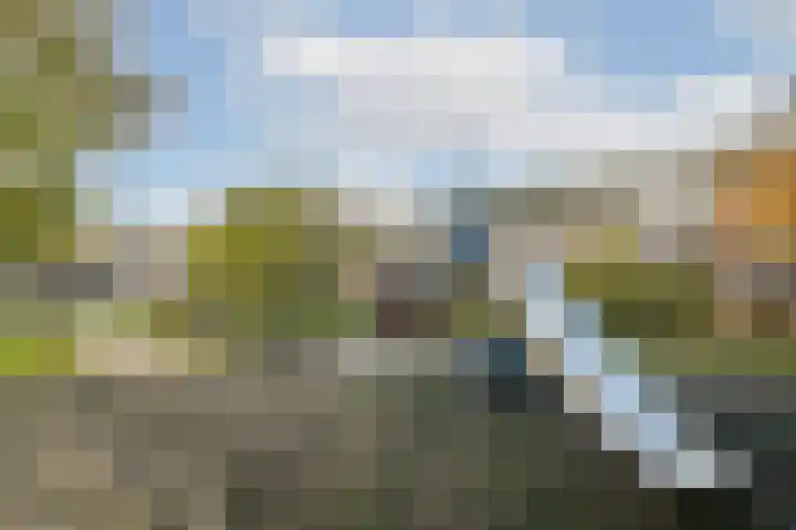 Loodskotterhof 65 Amsterdam thumbnail 22