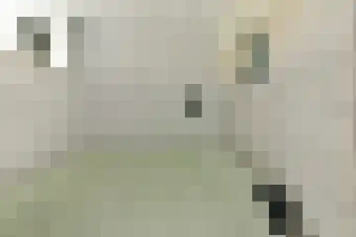 Loodskotterhof 65 Amsterdam thumbnail 8