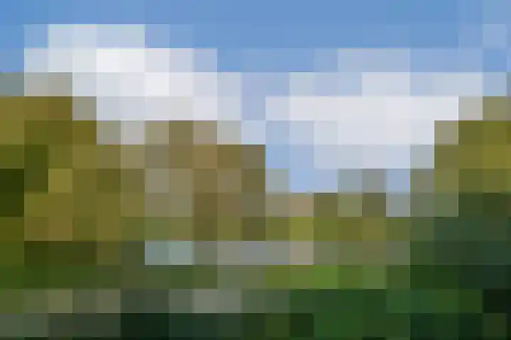 Loodskotterhof 65 Amsterdam thumbnail 9