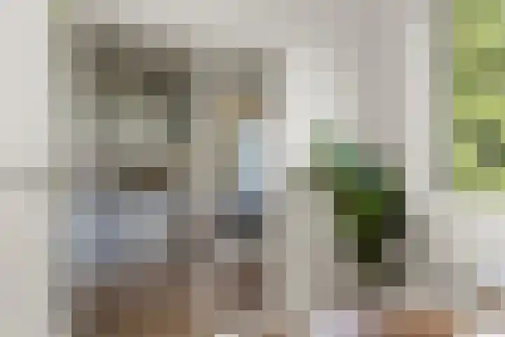 Loodskotterhof 87 Amsterdam thumbnail 12