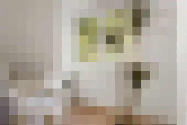 Loodskotterhof 87 Amsterdam thumbnail 17