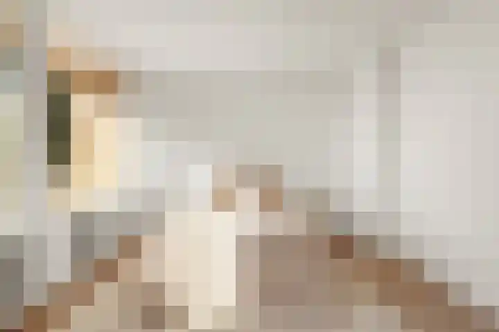 Loodskotterhof 87 Amsterdam thumbnail 27
