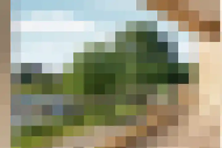 Loodskotterhof 87 Amsterdam thumbnail 30