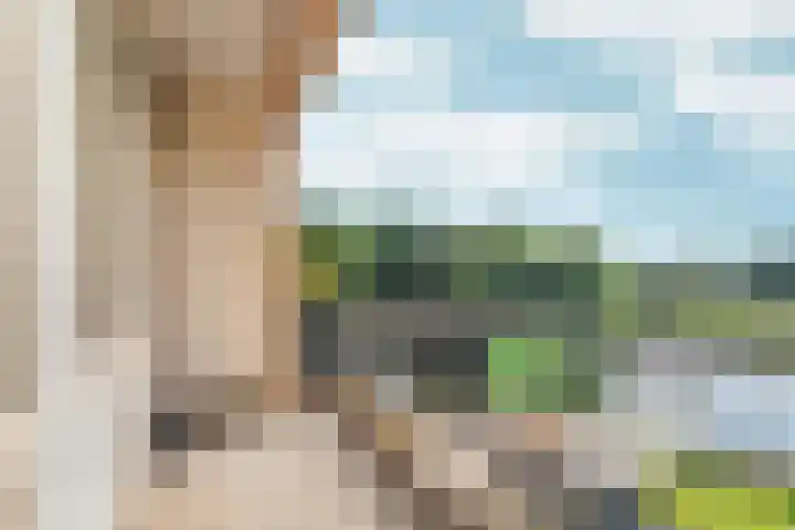 Loodskotterhof 87 Amsterdam thumbnail 32