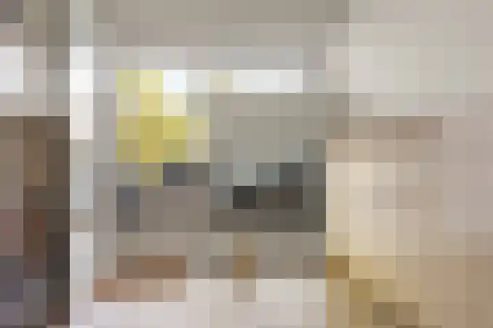 Loodskotterhof 87 Amsterdam thumbnail 38