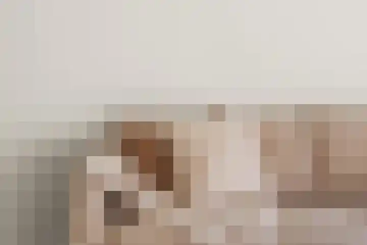 Loodskotterhof 87 Amsterdam thumbnail 6
