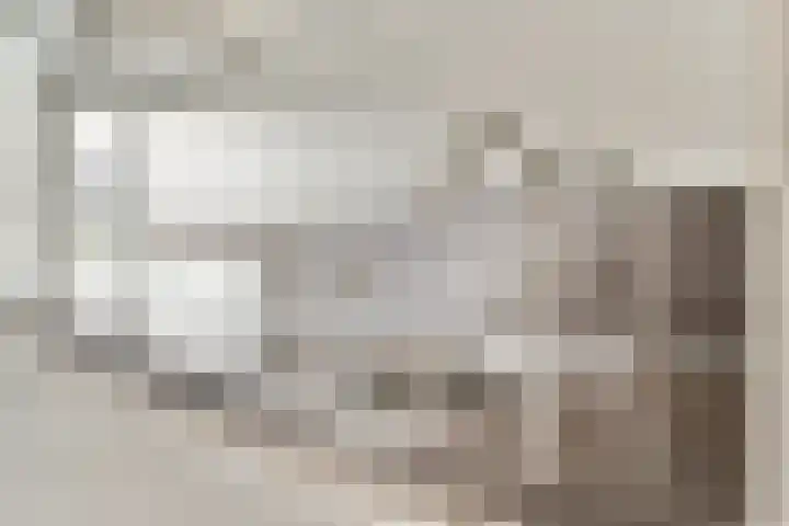 Loodsmandreef 16 Bergschenhoek thumbnail 10