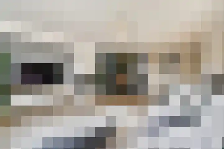 Loodsmandreef 16 Bergschenhoek thumbnail 13