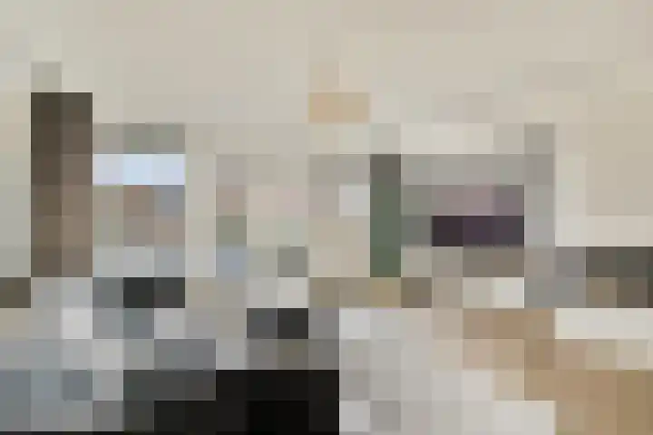 Loodsmandreef 16 Bergschenhoek thumbnail 14