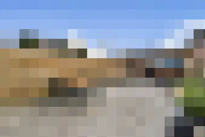 Loodsmandreef 16 Bergschenhoek thumbnail 15