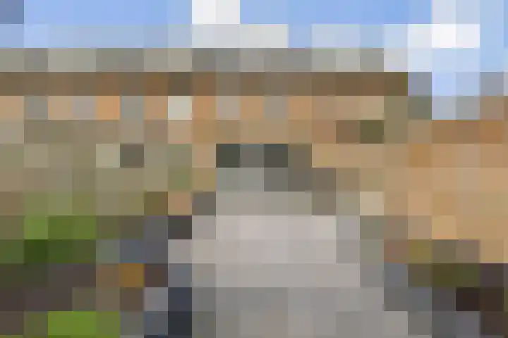 Loodsmandreef 16 Bergschenhoek thumbnail 16