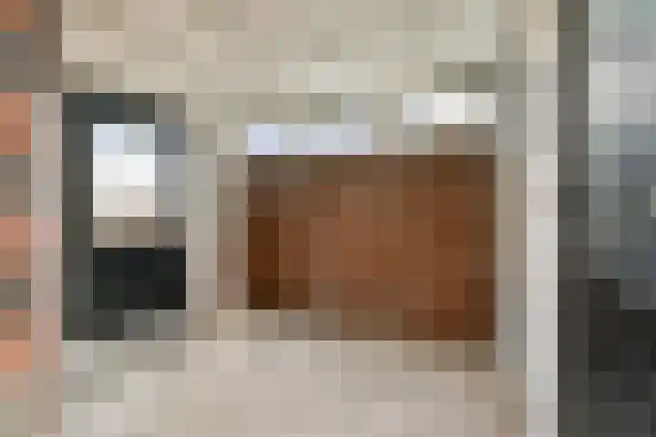 Loodsmandreef 16 Bergschenhoek thumbnail 18