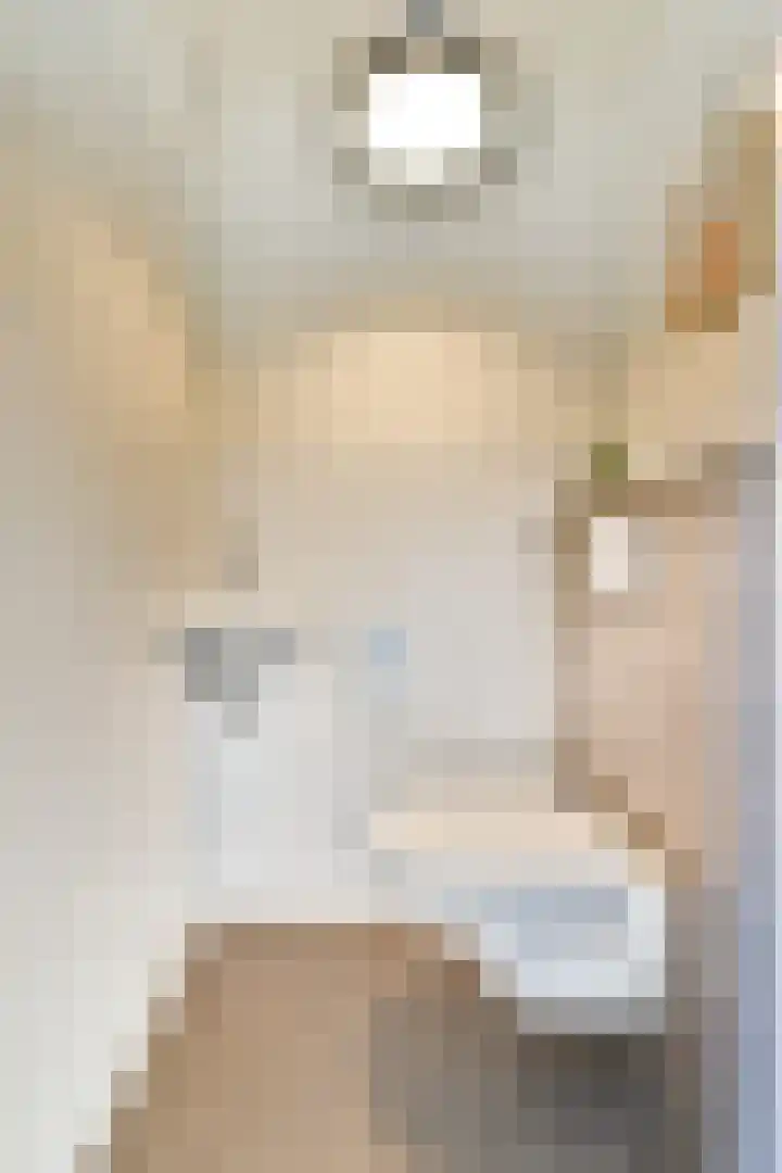 Loodsmandreef 16 Bergschenhoek thumbnail 19
