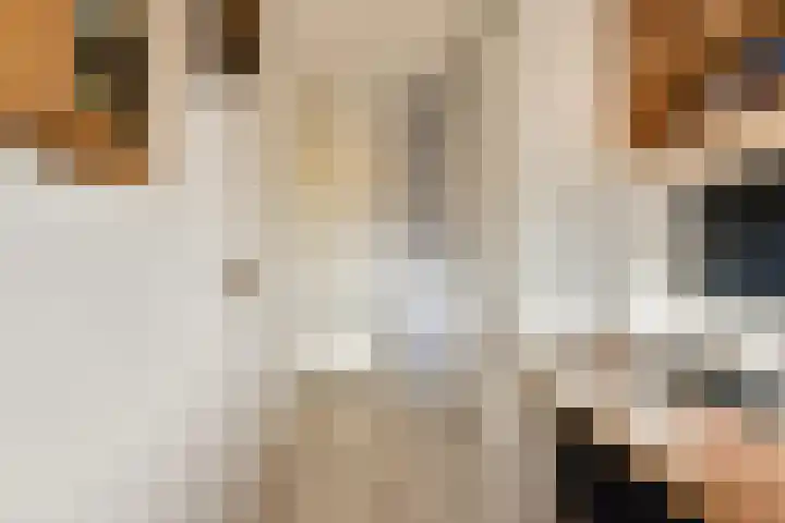 Loodsmandreef 16 Bergschenhoek thumbnail 23