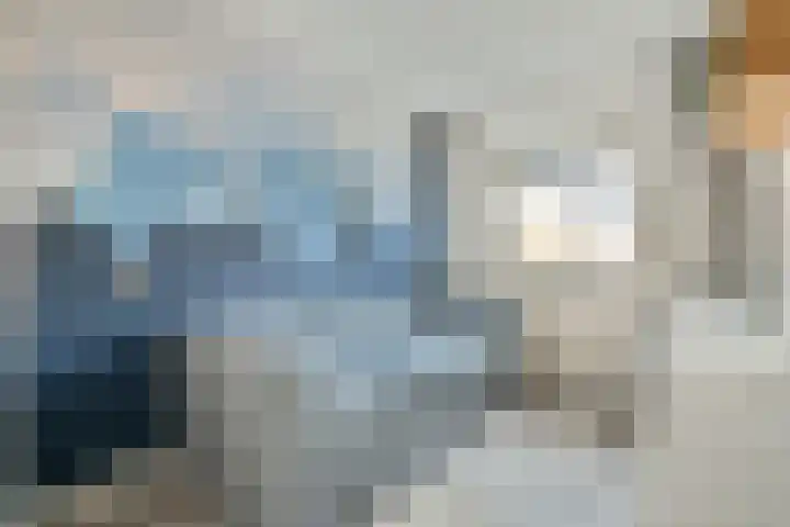 Loodsmandreef 16 Bergschenhoek thumbnail 25