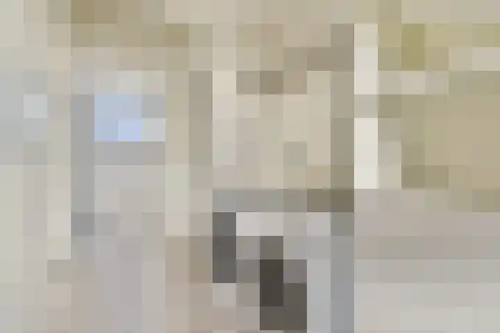 Loodsmandreef 16 Bergschenhoek thumbnail 27