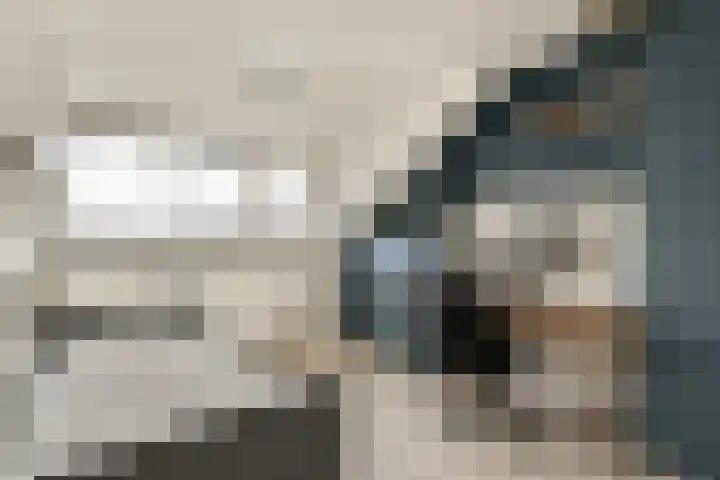 Loodsmandreef 16 Bergschenhoek thumbnail 28