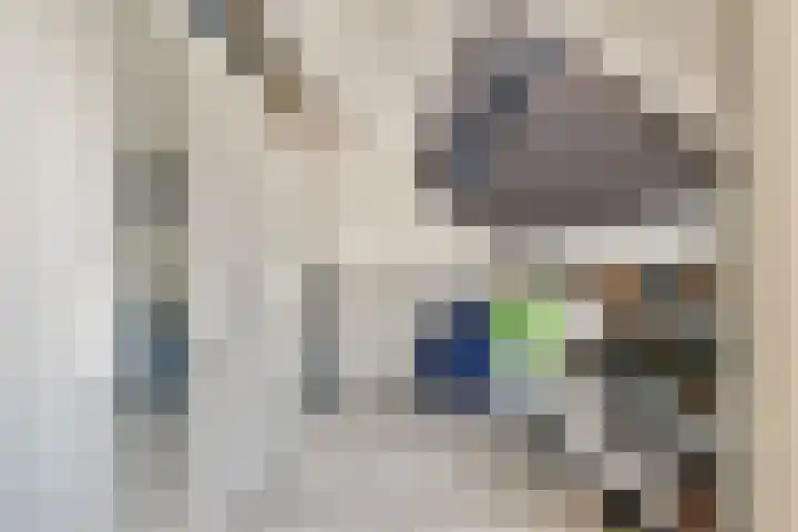 Loodsmandreef 16 Bergschenhoek thumbnail 30