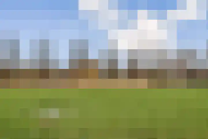 Loodsmandreef 16 Bergschenhoek thumbnail 31