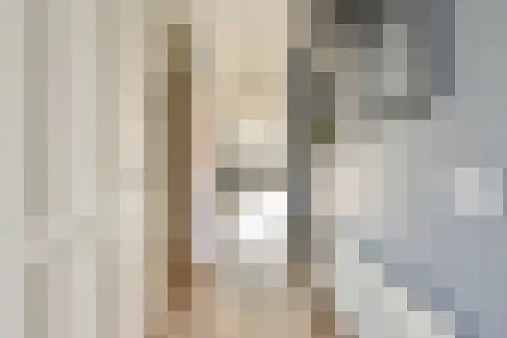 Loodsmandreef 16 Bergschenhoek thumbnail 4