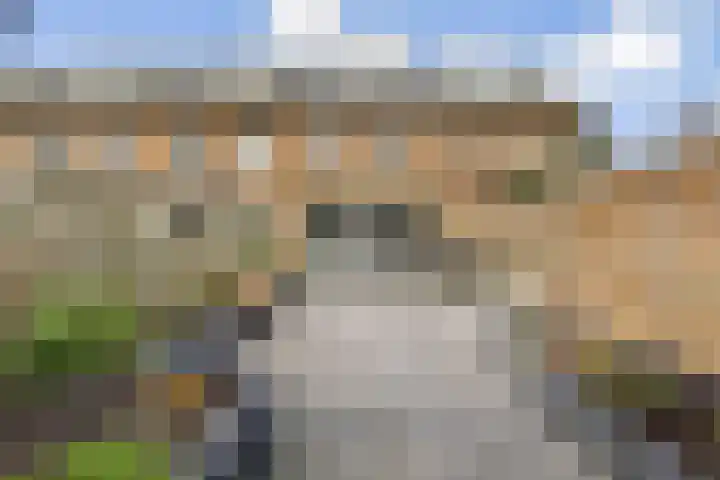Loodsmandreef 16 Bergschenhoek thumbnail 5