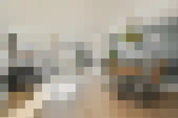 Loodsmandreef 16 Bergschenhoek thumbnail 6