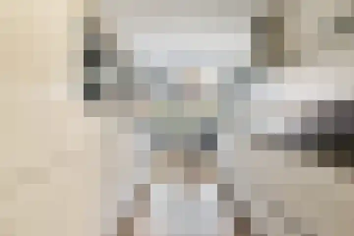 Loodsmandreef 16 Bergschenhoek thumbnail 8