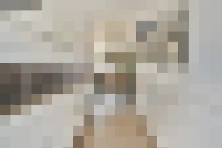 Loodsmandreef 16 Bergschenhoek thumbnail 9