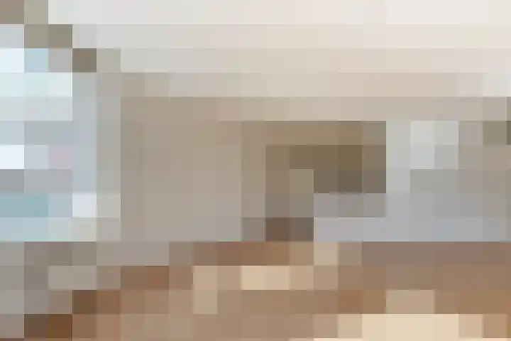 Loodsmandreef 30 Bergschenhoek thumbnail 15