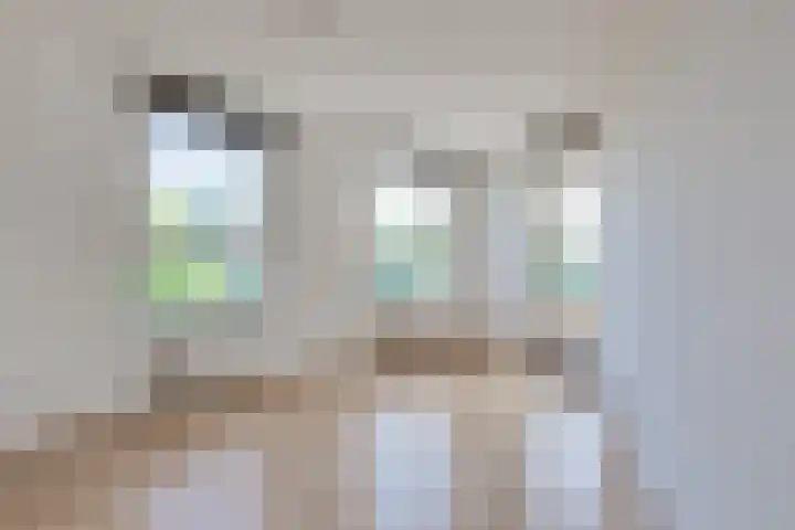 Loodsmandreef 30 Bergschenhoek thumbnail 22