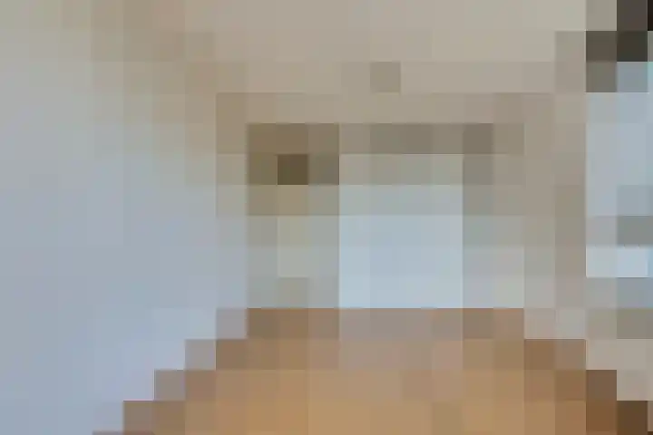 Loodsmandreef 30 Bergschenhoek thumbnail 24