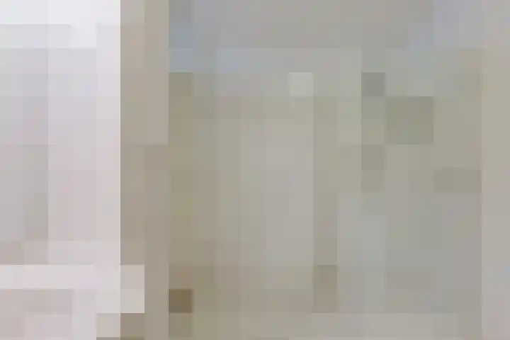 Loodsmandreef 30 Bergschenhoek thumbnail 29
