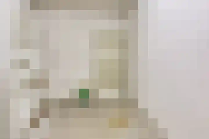 Loodsmandreef 30 Bergschenhoek thumbnail 30