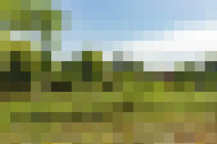 Loodsmandreef 30 Bergschenhoek thumbnail 31
