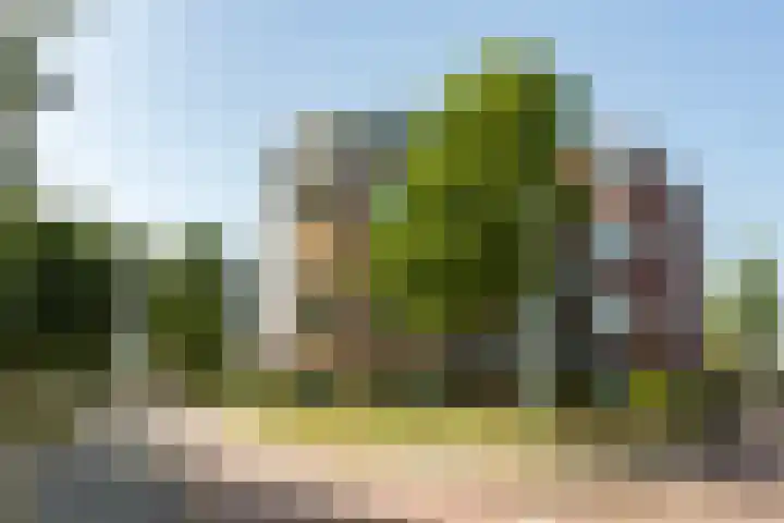 Loodsmandreef 30 Bergschenhoek thumbnail 5