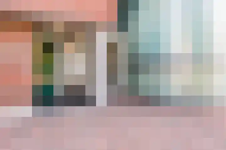 Loodsmandreef 30 Bergschenhoek thumbnail 8