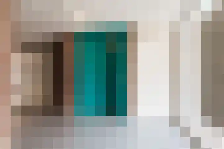 Loodsmandreef 30 Bergschenhoek thumbnail 9