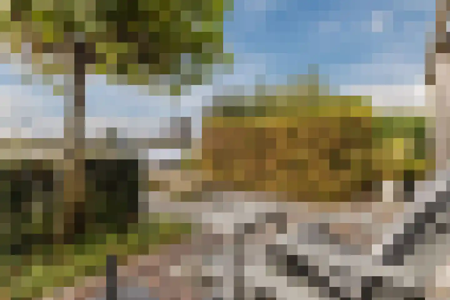 Loodsweg 65 Westknollendam thumbnail 47